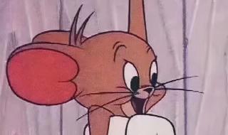 一年级开学文案 一年级开学文案