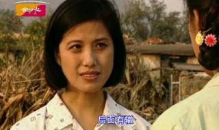 电视剧辘轳女人和井