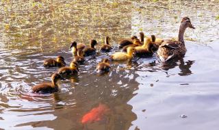 大连前关经济适用房