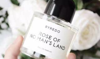 无人区玫瑰第二 无人区玫瑰第二