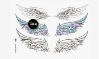 天使之翼大结局 天使之翼大结局