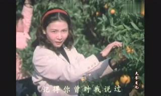 老电影今夜星光灿烂 老电影今夜星光灿烂