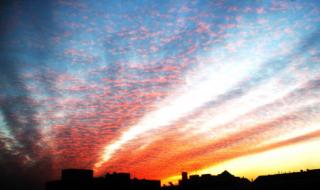 哈尔滨地震了吗刚才