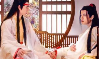 魔尊怀了仙尊的孩子 魔尊怀了仙尊的孩子