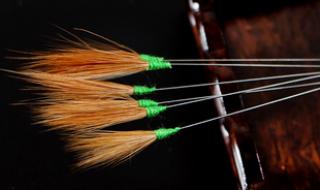 采耳师培训学费多少 采耳师培训学费多少