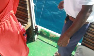 新游记怎么没更新 新游记怎么没更新