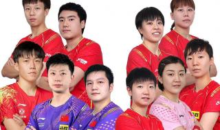 2019世乒赛男团决赛赛况